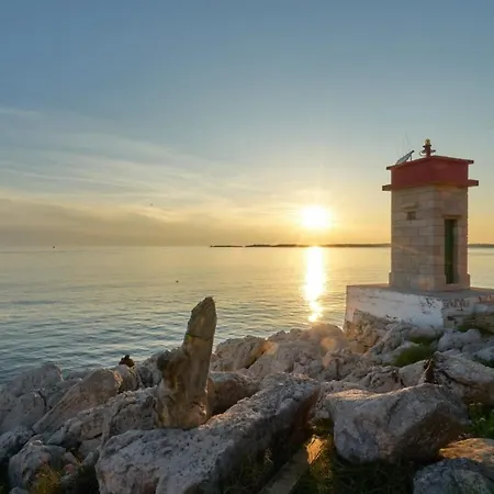 S&m Heart Of * Póla